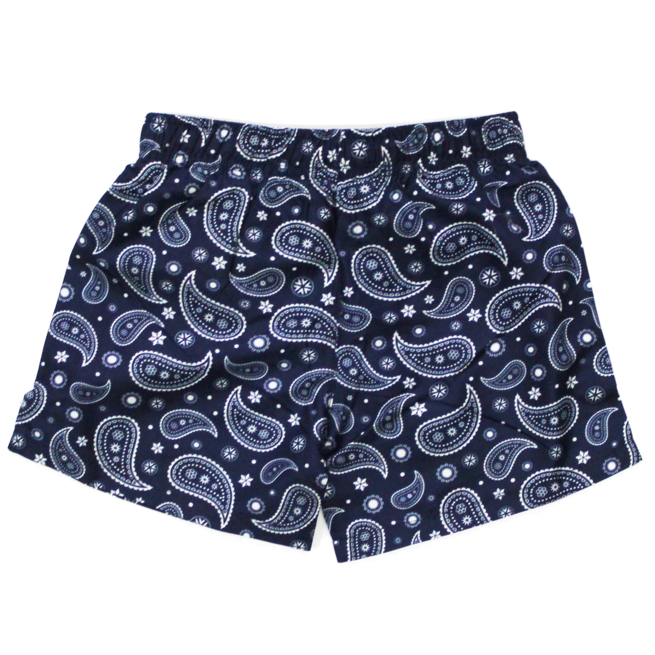 Boys Bandana Swim Trunk