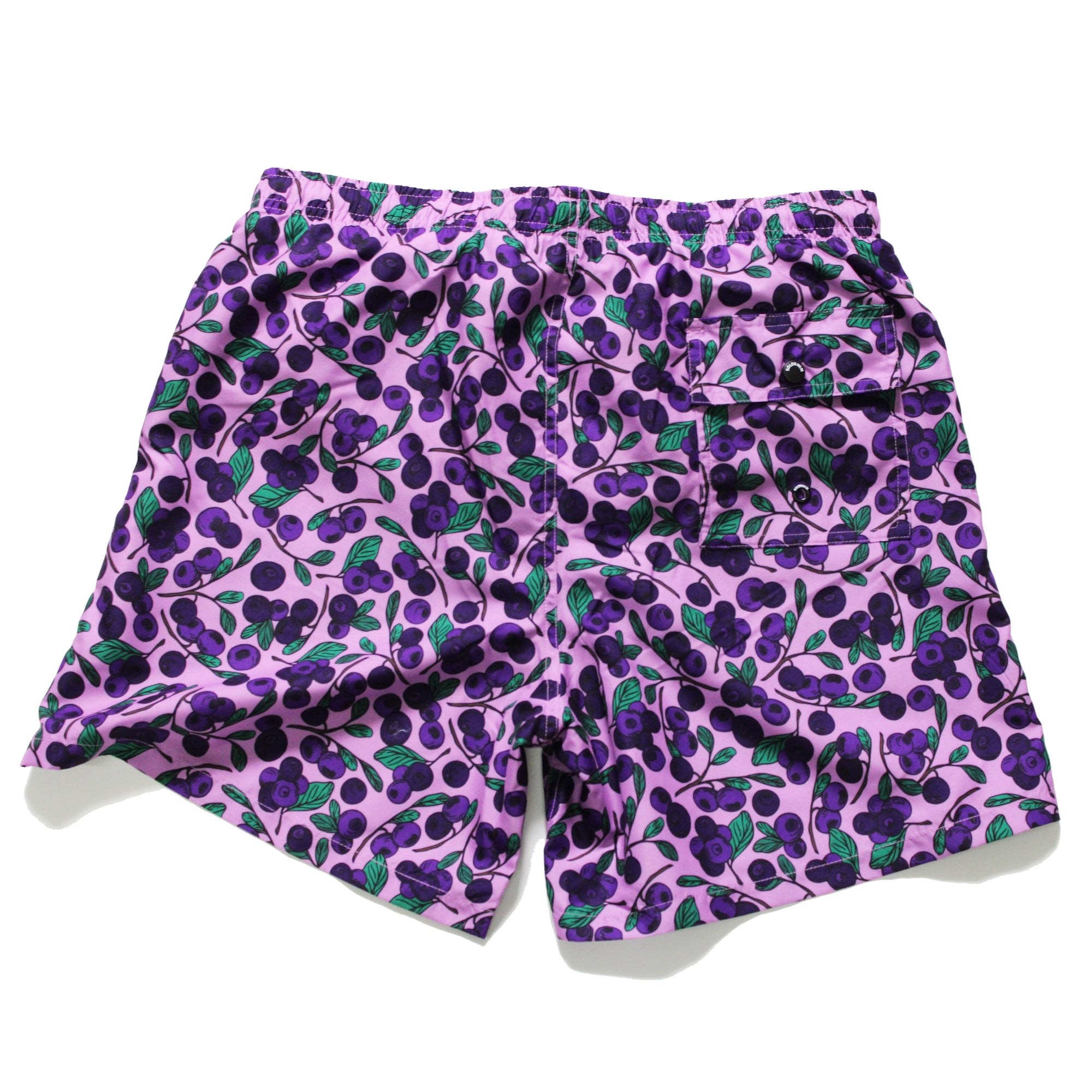 Huckleberry Swim Trunk