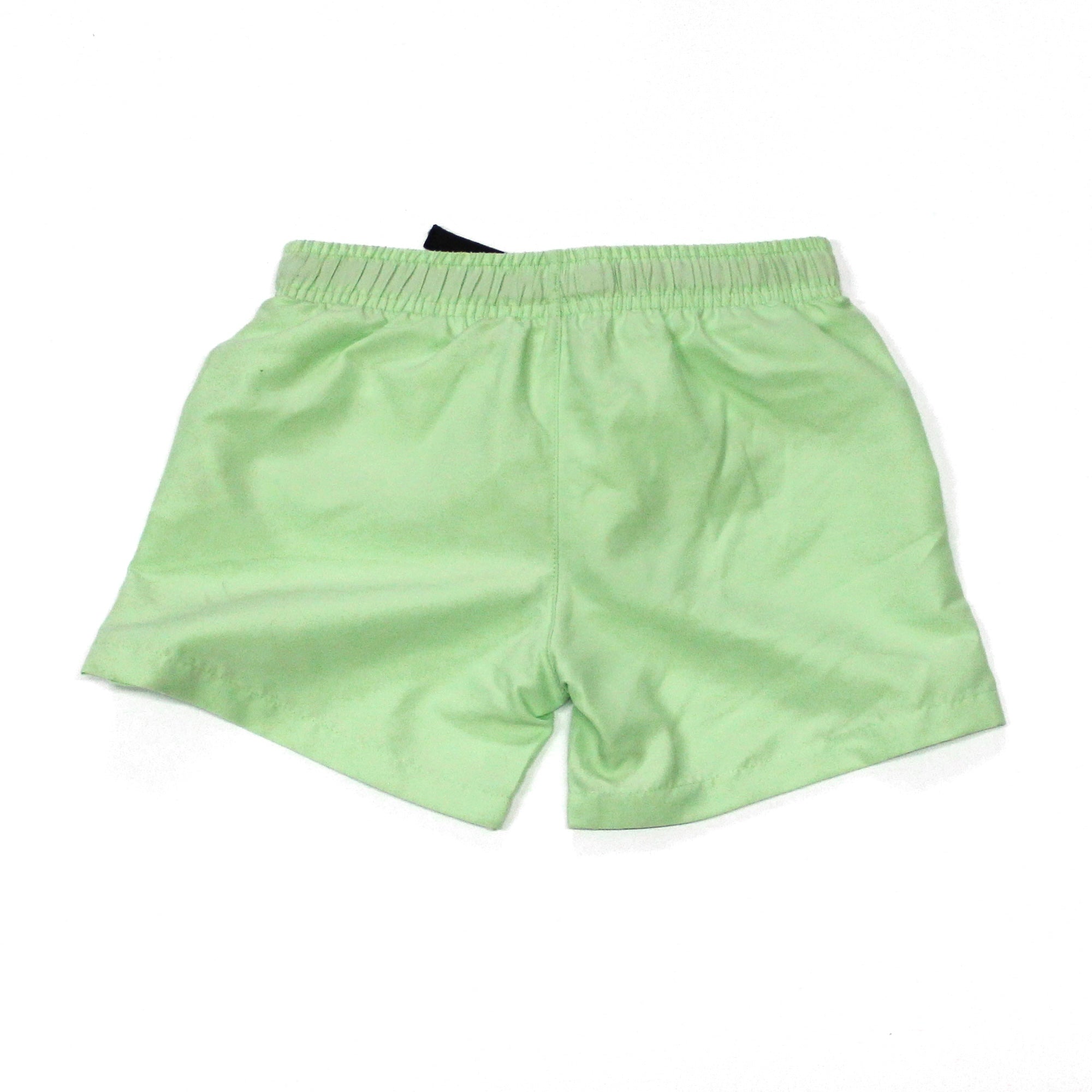 Boys Mountain Mint Swim Trunk